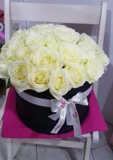 Bele avelanž ruže K026 - 0