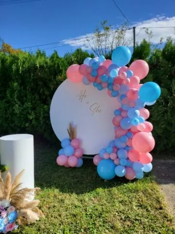 Otkrivanje pola bebe uz savršenu balon dekoaciju - Gender reveal party BA169 - 0