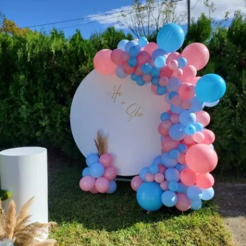 Otkrivanje pola bebe uz savršenu balon dekoaciju - Gender reveal party BA169 - 0