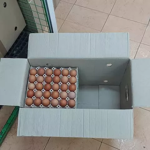 Kutije za jaja - 0