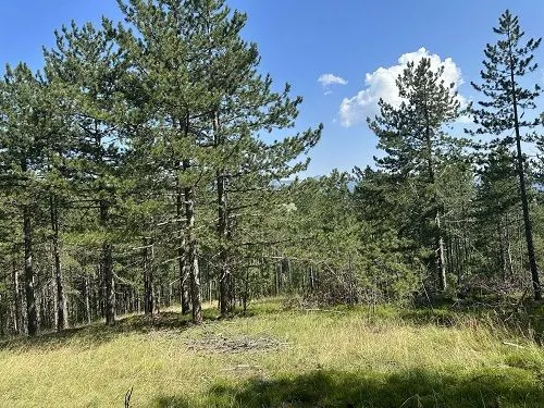 Na prodaju zemljiste ukupne povrsine 80 ari, Tometino polje - Divčibare - 5