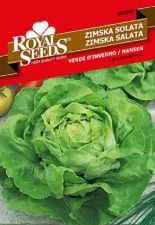 Salata Nansen - seme - 0