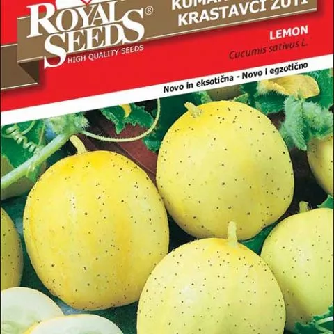 Krastavac okrugli žuti - seme - 0