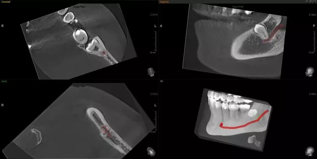 ORTODENT 3D DIGITAL  - 3