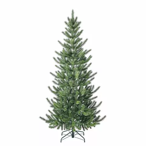 Jelka Cedar Pine 180/210/240cm - 0