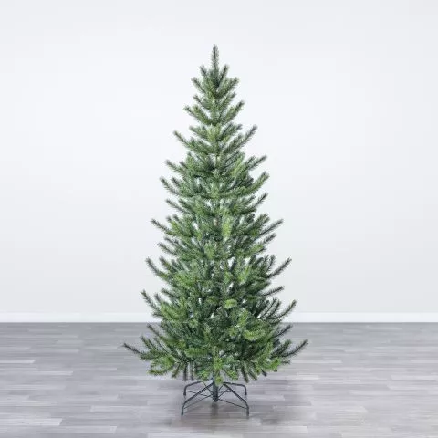 Jelka Cedar Pine 180/210/240cm - 1