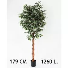 Veštačka biljka 179 cm - 0