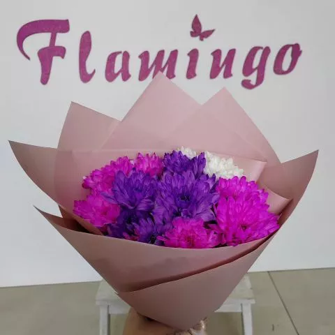 CVEĆARA - FLAMINGO - 0