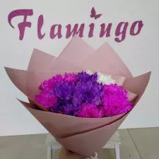 CVEĆARA - FLAMINGO - 0