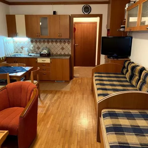 Vila Bjanka apartman-Kopaonik - 1