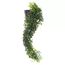Veštačka biljka - 0