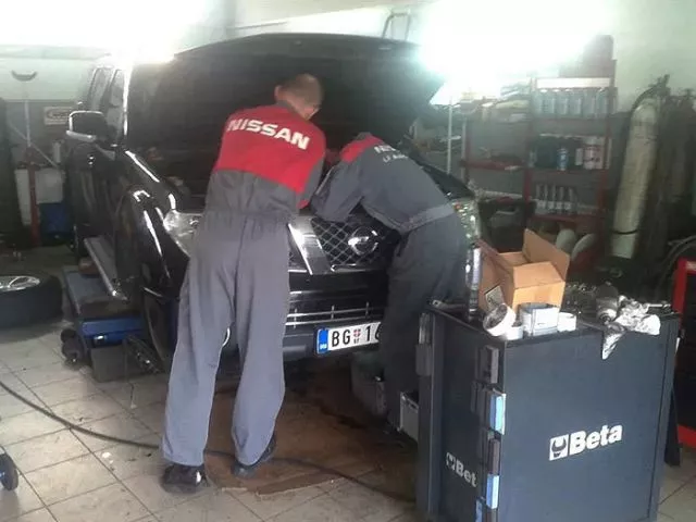 Ovlašćeni serviser i prodavac NISSAN vozila  - Lady F  - 2