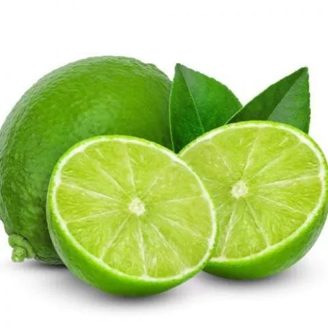 Limeta - sadnica - 0