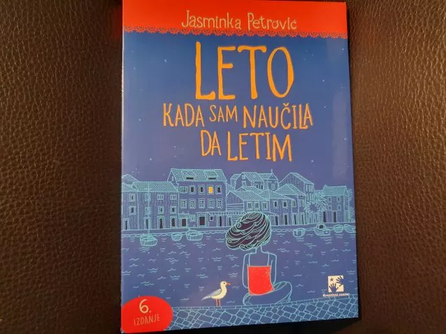 Leto kad sam naučila da letim - 0