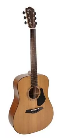 Mayson ECD10 Dreadnought akustična gitara - 0