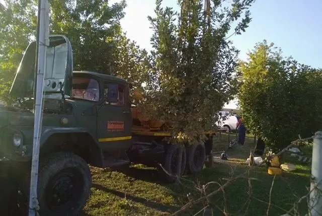 Mašinsko bušenje bunara -  NaturAqua - 8