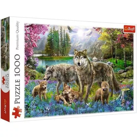 Puzzle 1000 delova 40560-18 - 0