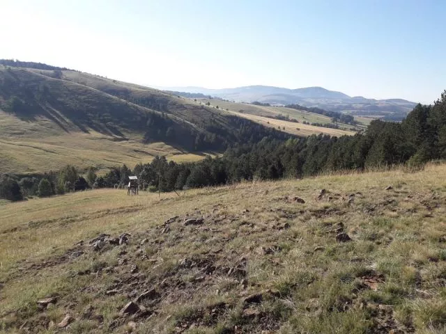 Plac Tometino polje-Divcibare - 2