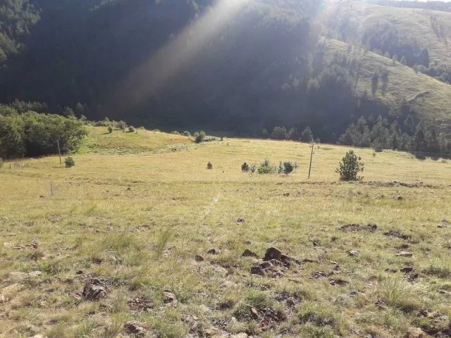 Plac Tometino polje-Divcibare - 3