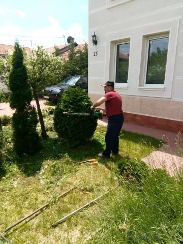 Kosenje trave - Odrzavanje zelenih povrsina - 0