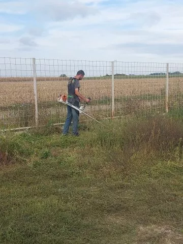 Kosenje trave - Odrzavanje zelenih povrsina - 0